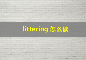 littering 怎么读